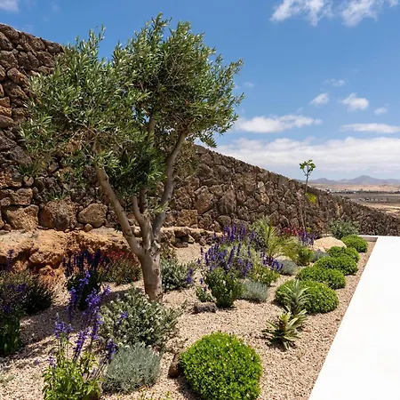 Villa White Lava By Aura Collection Lajares